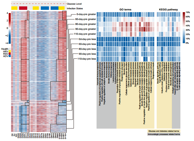 华西医院生物国家重点实验室谢丹研究员团队在Nature Medicine发表研究论文2.png